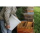 Sirop nourrissement abeilles