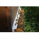 achat d'essaims d'abeilles noires ou buckafst
