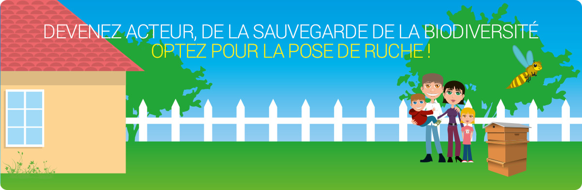 Pose de ruches